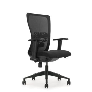 Swivel chair series 250 NEN